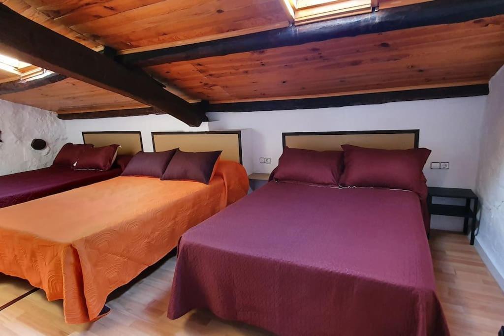 Cal Curpets - Bicicletas Free Villa Puigvert de Agramunt Exterior photo